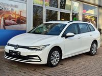 Gebraucht VW Golf VIII Life 116 PS (85 kW) 2024 Weiß Kombi