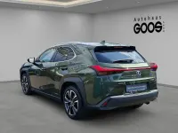 Gebraucht Lexus UX 250h 184 PS (135 kW) 2023 Grün SUV