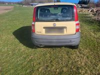 Gebraucht Fiat Panda 54 PS (39 kW) 2009 Gelb Kleinwagen