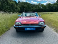 Gebraucht Jaguar XJS 295 PS (216 kW) 1981 Rot Coupé