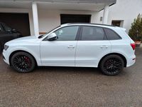 Gebraucht Audi SQ5 Sport 326 PS (239 kW) 2017 Weiß SUV