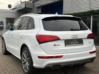 Gebraucht Audi SQ5 Competition 326 PS (239 kW) 2016 Weiß SUV