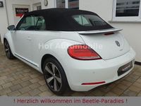 Gebraucht VW Beetle Allstar 105 PS (77 kW) 2016 Weiß Kleinwagen