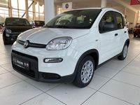 Neu Fiat Panda 69 PS (50 kW) 2025 Weiß Limousine
