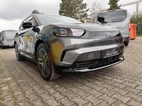 Gebraucht Ford Capri Premium 250 kW (340 PS) 2024 Magneticgrau SUV