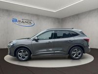 Neu Ford Kuga ST-Line 242 PS (177 kW) 2025 Grau SUV