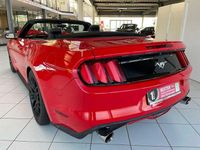 Gebraucht Ford Mustang Convertible 314 PS (230 kW) 2017 Rot Cabrio