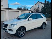 Gebraucht Mercedes ML250 2012 Weiß SUV