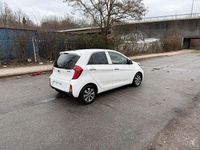 Gebraucht Kia Picanto 86 PS (63 kW) 2016 Weiß Kleinwagen