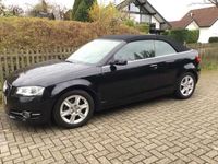 gebraucht Audi A3 Cabriolet A3 1.6 TDI DPF Ambition