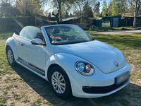 Gebraucht VW Beetle Edition 105 PS (77 kW) 2014 Weiß Kleinwagen