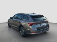 Gebraucht Skoda Octavia 150 PS (110 kW) 2022 Graphitegrau Kombi