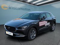 Gebraucht Mazda CX-30 Selection 150 PS (110 kW) 2023 Grau SUV