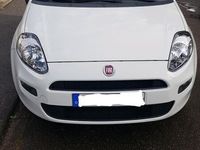 gebraucht Fiat Punto 