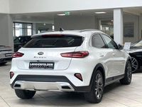 Gebraucht Kia XCeed Platinum Edition 204 PS (150 kW) 2020 Hw2 deluxeweiss met. SUV