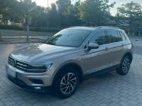 Gebraucht VW Tiguan 190 PS (139 kW) 2019 Beige SUV
