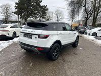 Gebraucht Land Rover Range Rover evoque HSE 150 PS (110 kW) 2019 Weiß SUV