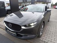 Gebraucht Mazda CX-30 Selection 122 PS (89 kW) 2021 Grau SUV