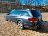 Gebraucht Mercedes E220 170 PS (125 kW) 2014 Grau Kombi