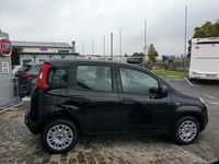 gebraucht Fiat Panda Hybrid