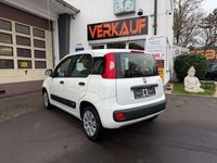 Gebraucht Fiat Panda Pop 69 PS (50 kW) 2016 Weiß Kleinwagen