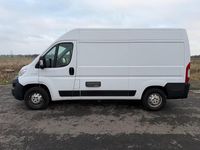 Gebraucht Fiat Ducato 176 PS (129 kW) 2019 Weiß Van