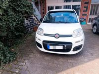 Gebraucht Fiat Panda 69 PS (50 kW) 2015 Weiß Kleinwagen
