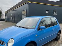 Gebraucht VW Lupo 50 PS (36 kW) 2004 Blau Kleinwagen
