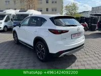 Gebraucht Mazda CX-5 Newground 194 PS (142 kW) 2024 Arctic white cle SUV
