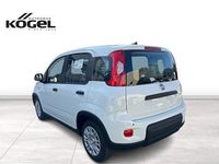 Gebraucht Fiat Panda 70 PS (51 kW) 2024 Weiß (gelato weiss) Kleinwagen