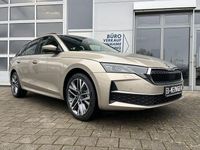 Neu Skoda Octavia Selection 150 PS (110 kW) 2026 Beige Limousine