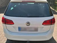 Gebraucht VW Golf VII 100 PS (73 kW) 2014 Weiß Kombi