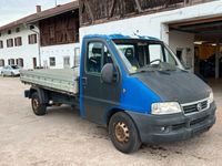 gebraucht Fiat Ducato MAXI PRITSCHE 2006 2.8 JTD 128PS KLIMAANLAGE LKW