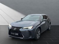 Gebraucht Lexus UX 250h Sport Line 184 PS (135 kW) 2023 Grau SUV