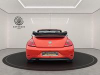 Gebraucht VW Beetle Cabriolet Design 105 PS (77 kW) 2018 Orange Cabrio