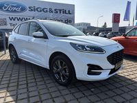 Gebraucht Ford Kuga ST-Line X 224 PS (164 kW) 2023 Frostweiß SUV