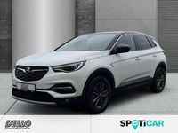Gebraucht Opel Grandland X 131 PS (96 kW) 2021 Weiß SUV