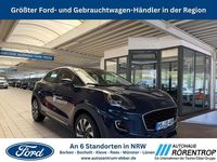 Gebraucht Ford Puma Titanium 125 PS (91 kW) 2025 Blau SUV