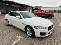 Gebraucht Jaguar XF 184 PS (135 kW) 2018 Weiß Limousine