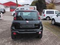 Gebraucht Fiat Panda 69 PS (50 kW) 2023 Schwarz Kleinwagen