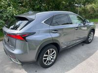 gebraucht Lexus NX300h 300h E-Four Excecutive Line