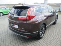 Gebraucht Honda CR-V Elegance 145 PS (106 kW) 2022 Braun SUV