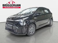 Neu Kia Picanto Vision 68 PS (50 kW) 2026 Schwarz Kleinwagen