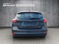 Usata Ford Focus Cool & Connect 125 CV (91 kW) 2017 Grigio Berlina