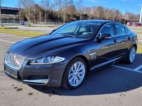Gebraucht Jaguar XF 241 PS (177 kW) 2013 Stratus grey Limousine