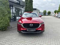 Usata Mazda CX-5 194 CV (142 kW) 2023 Rosso SUV
