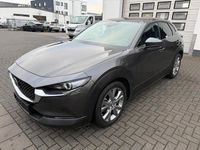 Gebraucht Mazda CX-30 Selection 179 PS (131 kW) 2022 Grau SUV