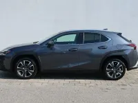 Gebraucht Lexus UX 250h 184 PS (135 kW) 2023 Obsidiangrau metallic SUV