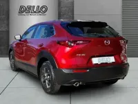 Gebraucht Mazda CX-30 Selection 186 PS (136 kW) 2023 Soul red crystal m SUV
