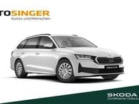 Gebraucht Skoda Octavia Essence 116 PS (85 kW) 2025 Moonweiss metallic Kombi